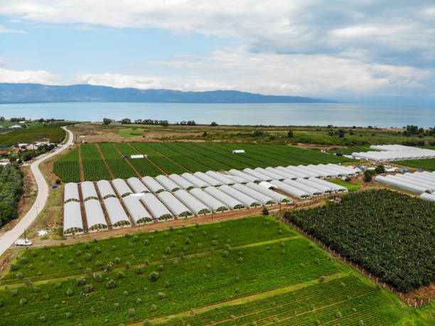 istock Greenhouses view from above. 1168805773