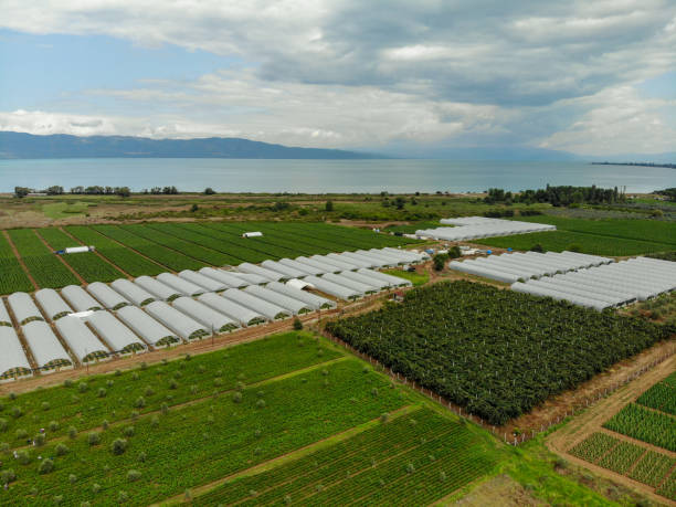 istock Greenhouses view from above. 1168805774