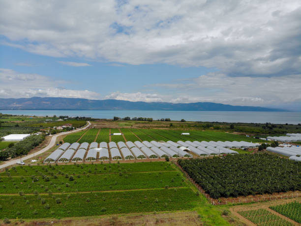 istock Greenhouses view from above. 1168805796