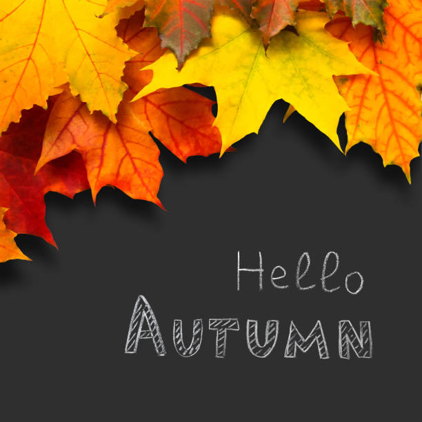 istock Text Hello autumn written in chalk on Blackboard 1168806163