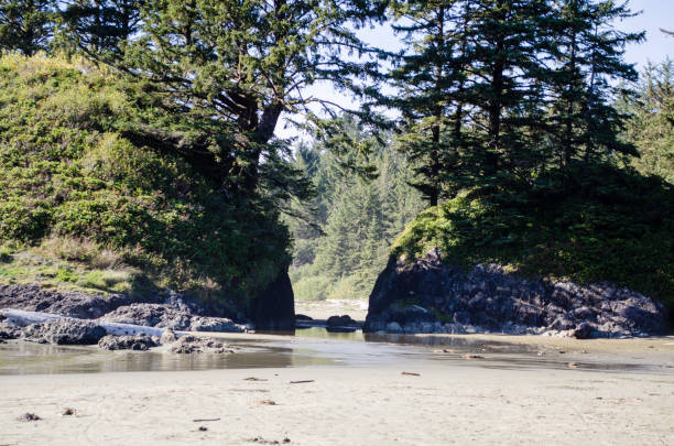 istock Two rocks and a watery passage to another beach on Vancouver Island 1168807864