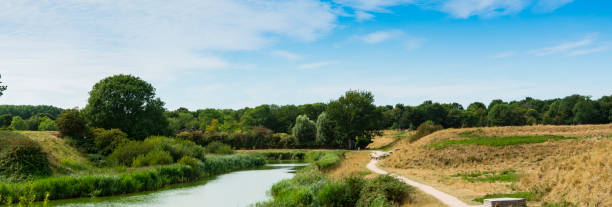 istock Hiking path, water, sheep and trees in Veere. The Netherlands 1168808009