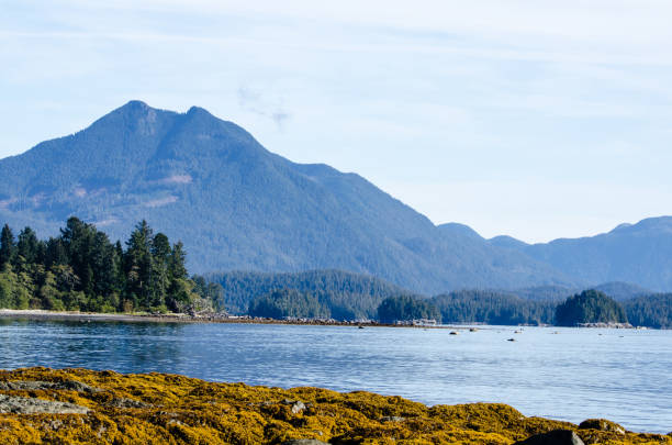istock Mountains and sea on Vancouver Island 1168808910