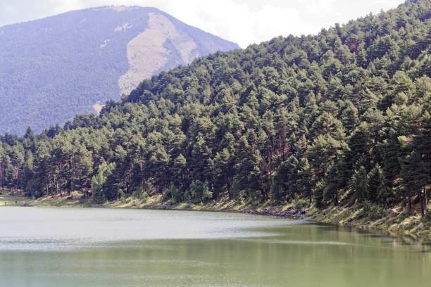 istock Lake Engolasters in Andorra 1168808973