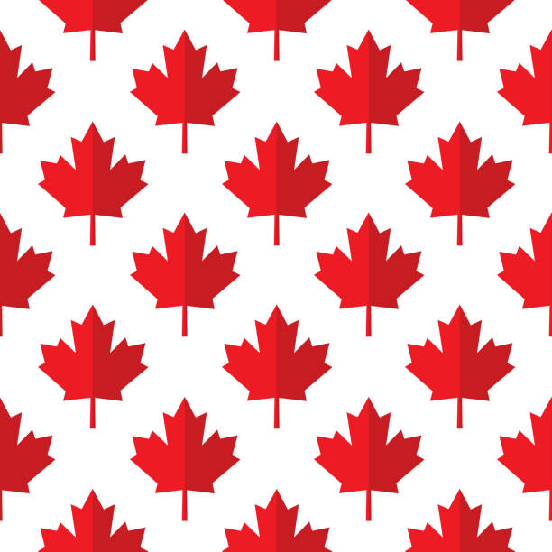 빨간 종이 단풍 나무 잎 원활한 패턴 - canadian flag canada flag maple leaf stock illustrations