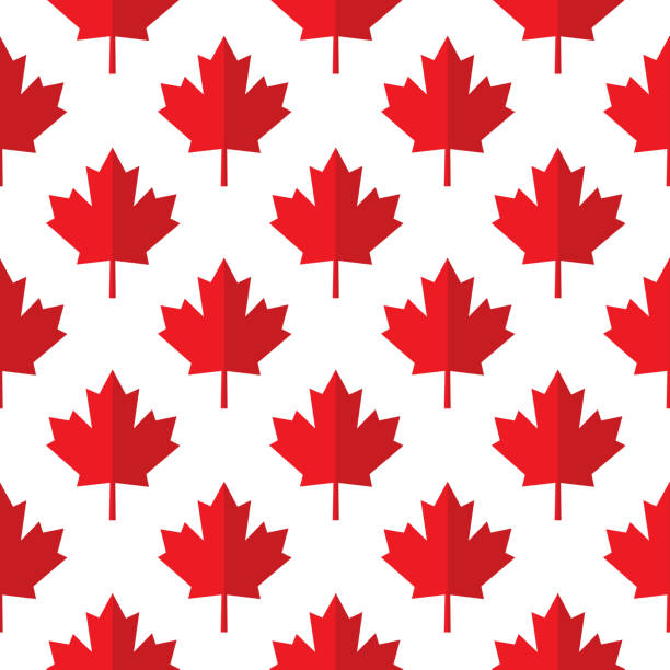 czerwony papier klon liście bezszwowy wzór - canada american flag canadian culture usa stock illustrations