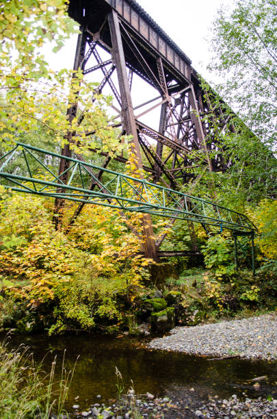 istock Railway bridges over still calm waters 1168811007