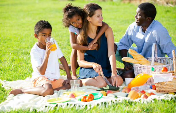 istock Parents with daughter and son at picnic 1168811047