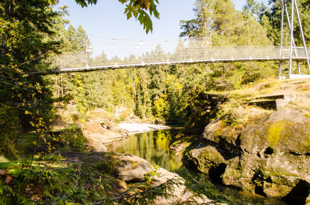 istock A bridge over calm waters on Vancouver Island 1168811082