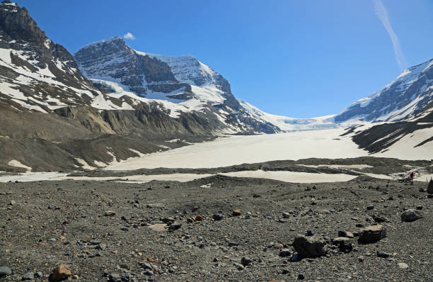 istock Terminal moraine of Athabasca glacier 1168813379