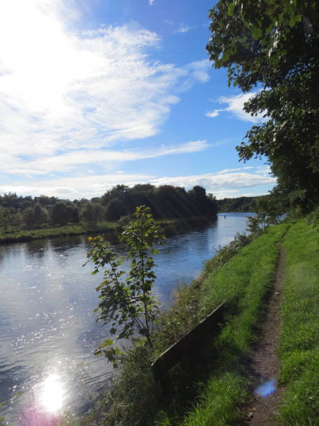 istock Walking through the river Dee from the old railway. 1168814720