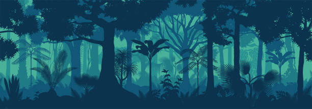 illustrazioni stock, clip art, cartoni animati e icone di tendenza di vettore orizzontale senza soluzione di continuità foresta pluviale tropicale jungle sfondo - foresta illustrazioni