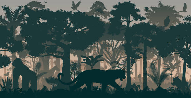 wektor afryki poziome bez szwu tropikalny las deszczowy jungle tle ze zwierzętami - zaire emery stock illustrations