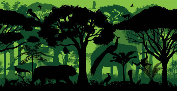 illustrations, cliparts, dessins animés et icônes de horizontal indien de vecteur sans couture forêt tropicale tropicale sans couture fond de forêt de forêt avec des animaux - cobra snake desert animal