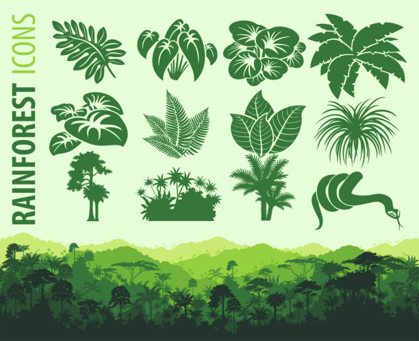 ilustrações, clipart, desenhos animados e ícones de jogo de ícones da selva com fundo tropical sem emenda horizontal da floresta - snake tropical rainforest animal rainforest