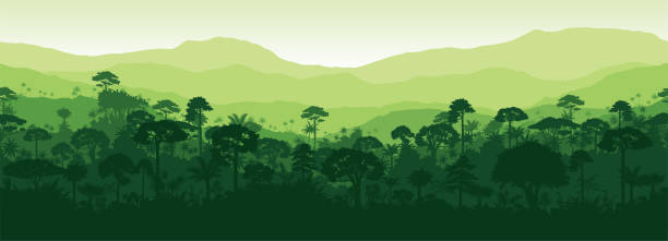 wektor poziomy bez szwu tropikalny las deszczowy las dżungli lasu tła lasu - animal background illustrations stock illustrations