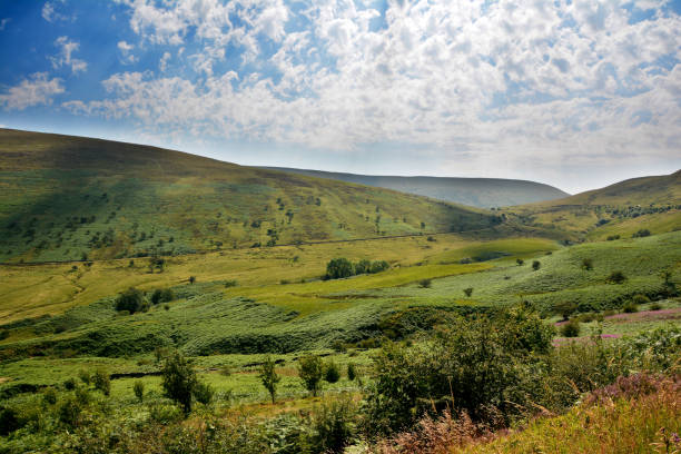 istock Wales in the Summertime 1168815579