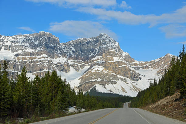 istock Landscape with Icefield Parkway 1168816985