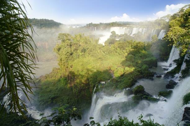 istock Iguazu Falls in South America 1168819461