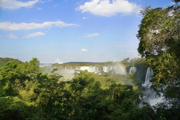 istock Iguazu Falls in South America 1168819470