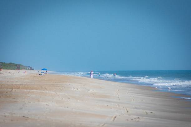 istock Cape Canaveral National Seashore and Daytona Beach 1168819556