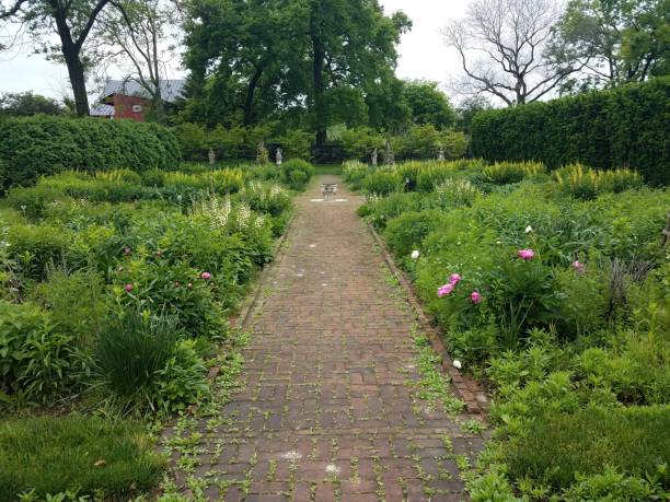 istock rose and plant garden with red brick path 1168819715