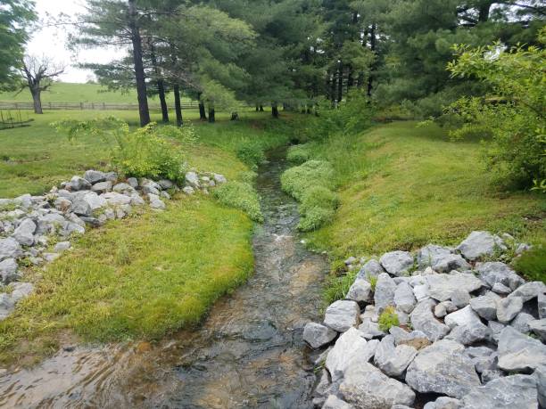istock creek or stream with rocks and green grass 1168819758