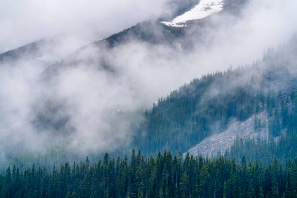 istock Banff National Park in Alberta Canada 1168820590