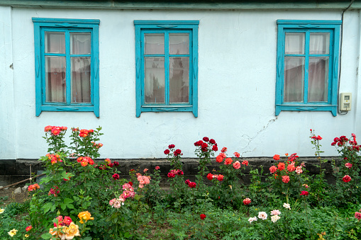 Old window, Flowers, Vintage house, Eguisheim, France