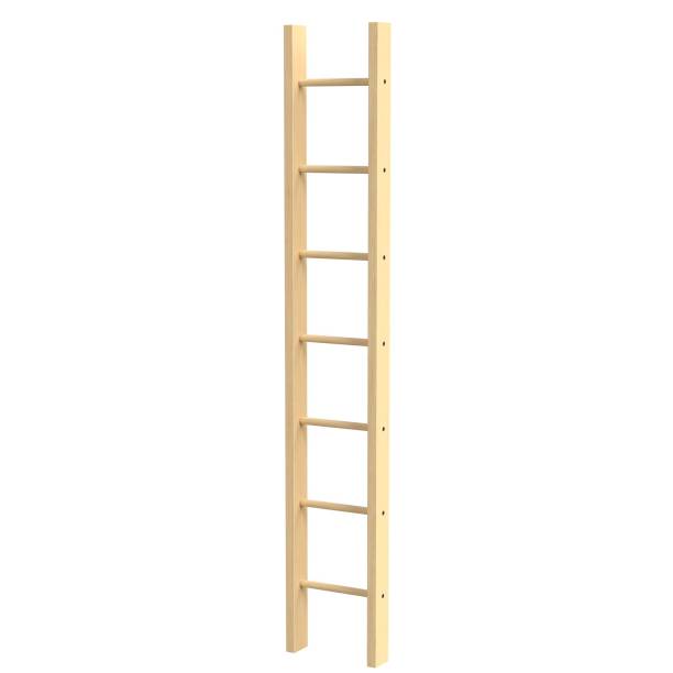 istock Single straight wooden ladder 1168826628