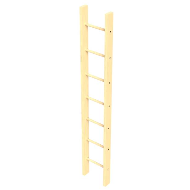 istock Single straight wooden ladder 1168826656