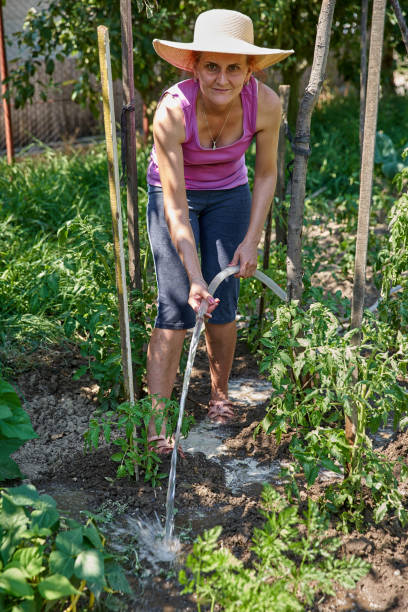 istock Gardener lady watering the plants 1168826778