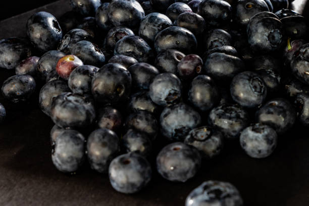 istock Blueberries in the black. Calgary, Alberta, Canada 1168828933