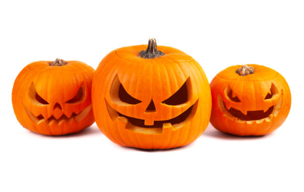 Freshly Carved Jack-o-Lantern Pumpkin Isolated on White