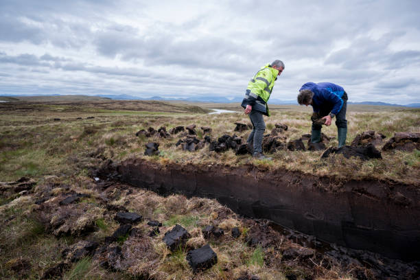 istock Stacking peat slabs on the moor in the Outer Hebrides 1168832568