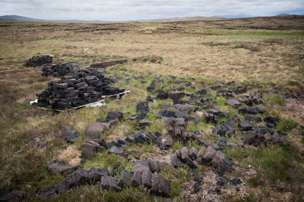 Small heaps of peat slabs stacked on the moor to dry as bricks will be used for fuel as a heat source all winter long on the Isle of Lewis, Outer Hebridges, Scotland, UK, Europe