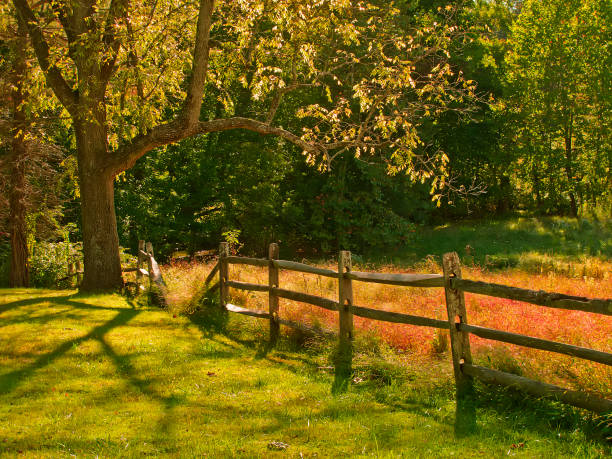 istock Afternoon at Valley Forge National Park Knox Tindle lane 1168833495