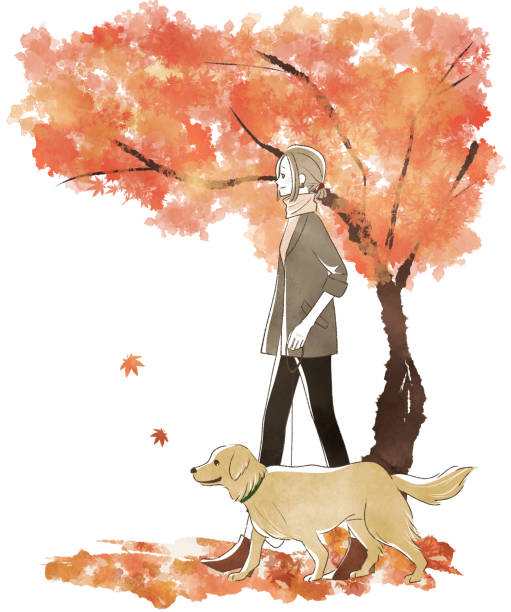 frauen, die im herbst mit dem hund spazieren gehen - golden retriever dog autumn leaf stock-grafiken, -clipart, -cartoons und -symbole
