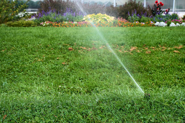 istock automatic sprinkler system watering the lawn on a background of green grass, close-up 1168842321