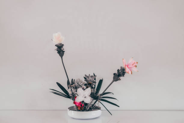 istock siam tulip flower arrangement in japanese ikebana 1168842607