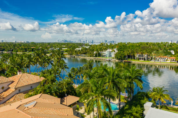 istock Upscale homes in Miami Beach waterfront with palm trees 1168845014