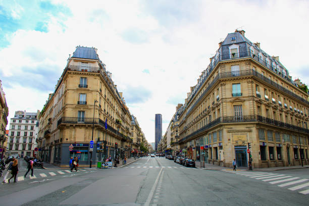 18 August. 2019 :View of an avenue of the capital with Haussmann-style buildings with balconies. Montparnasse tower in the background. Streets with Parisian taxis.