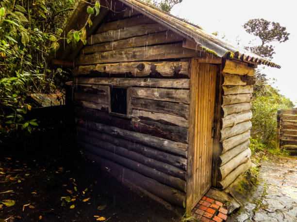 istock Small cabin in the forest in rainy day 1168852060