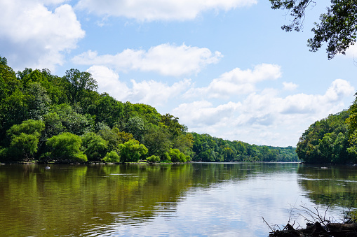Clouds and trees on the shoreline reflect on the surface of the Cape Fear River on a sunny afternoon in August at Raven Rock State Park