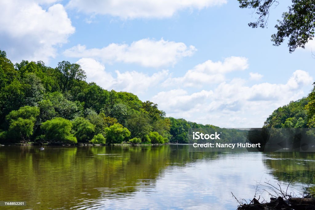 Cape Fear River - Foto de stock de Carolina do Norte - Estado dos EUA royalty-free