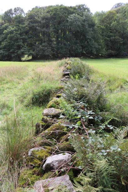 istock English late summer vegetation 1168857916