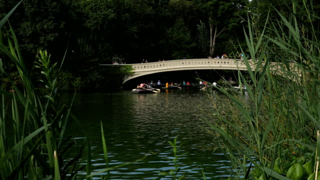 Bow Bridge Central Park