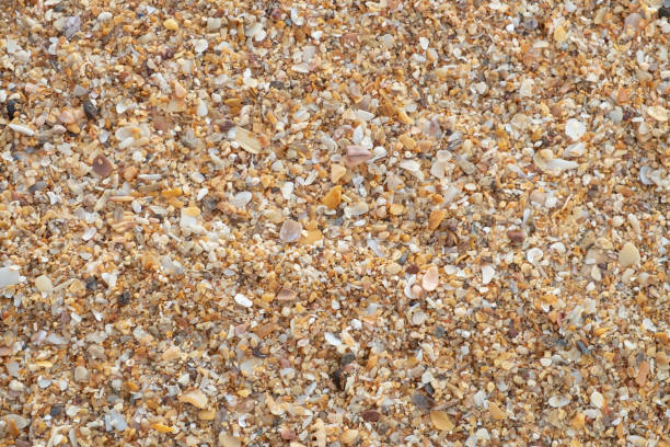 istock Small rock on the beach. sandy Soil pattern texture/background, The cracked earth/ground in drought, Soil texture and dry mud, Dry land. 1168859148
