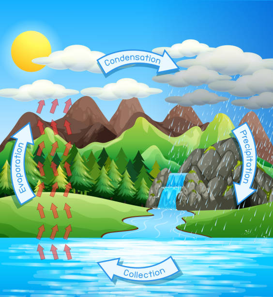 Water cycle process on Earth - Scientific Water cycle process on Earth - Scientific illustration river system stock illustrations