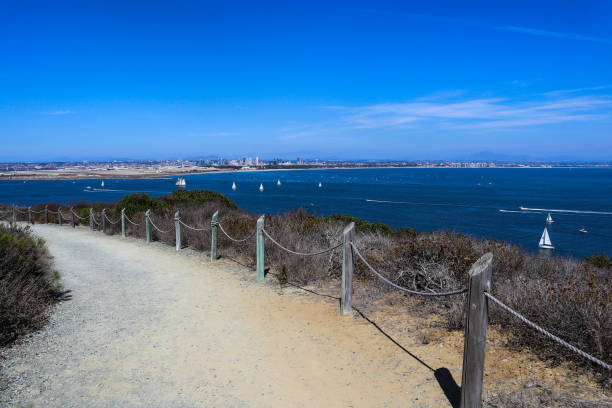 istock Rope Fence Along Bayside Trail at Cabrillo National Monument 1168865274